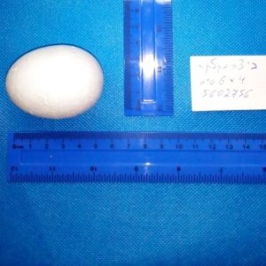 ביצת קלקר 6/4 ס"מ | ביצת קלקר יצירה