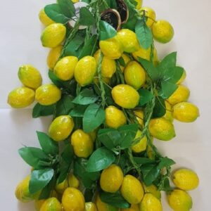 קישוטים לסוכה | שרשרת אתרוג