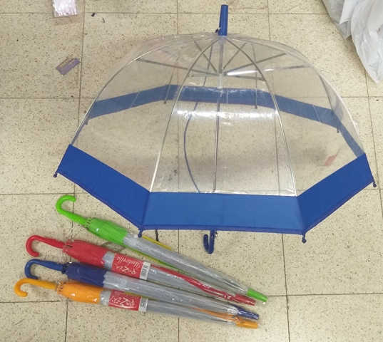 מטריה שקופה עם פס