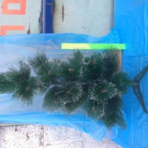 עץ חג המולד | עץ כריסמס | עץ אשוח 60 ס"מ עם קצוות שלג צבועים