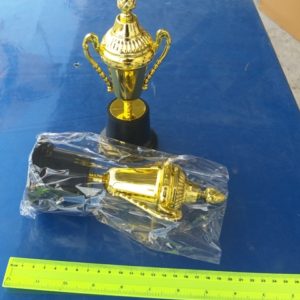 גביע ניצחון גדול | גביע ניצחון מפלסטיק | גביע פלסטיק זהב