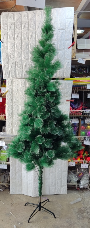 עץ חג המולד | עץ כריסמס | עץ אשוח 2.1 מטר עם קצוות שלג צבועים