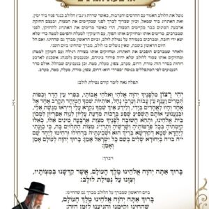 תמונה לסוכה סדר ברכות ארבעת המינים | סדר נטילת לולב | קישוטים לסוכה