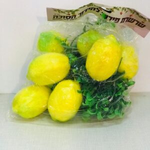 קישוטים לסוכה | שרשרת אתרוגים בחבל גודל טבעי אמיתי